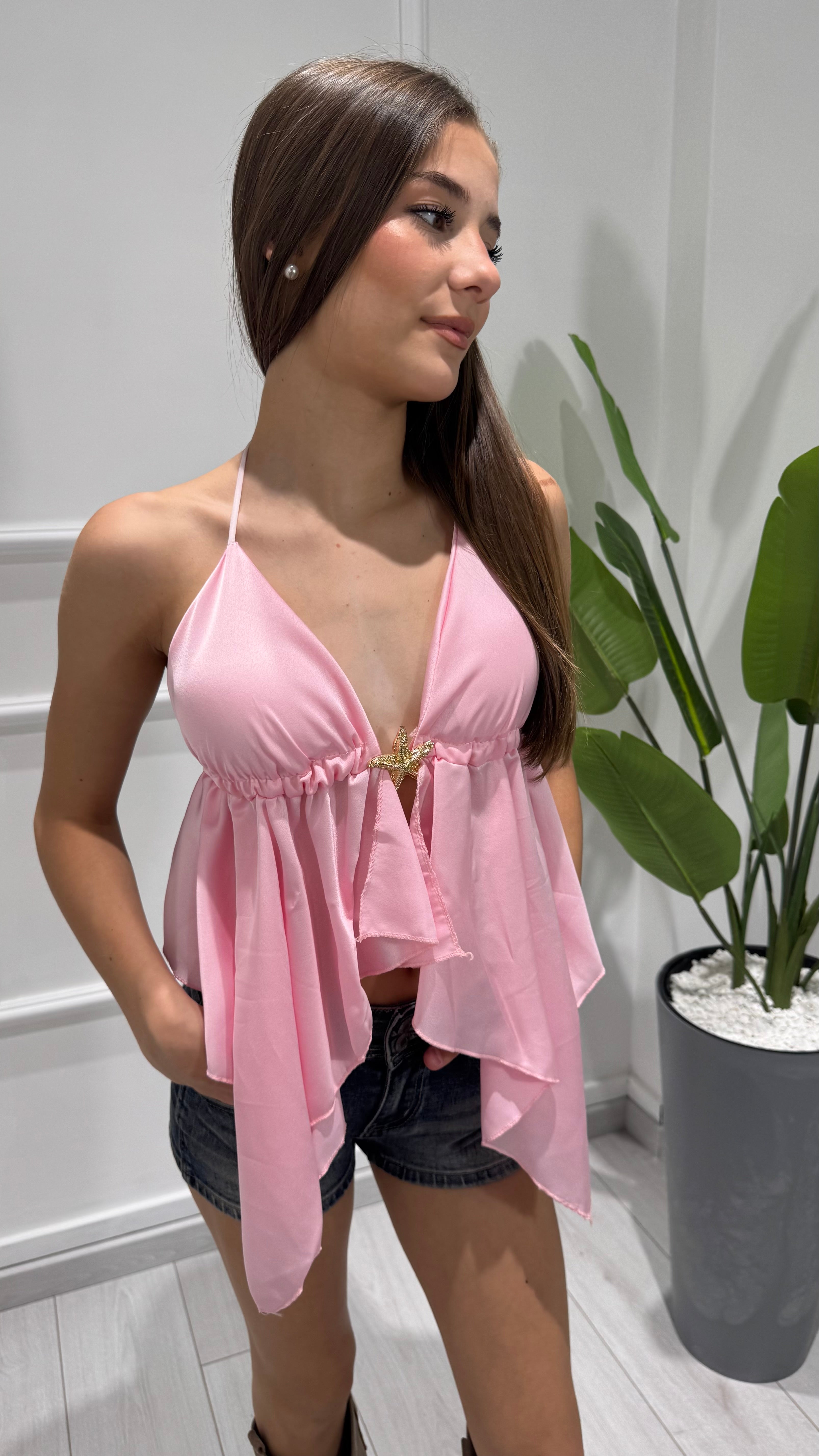 00233 top