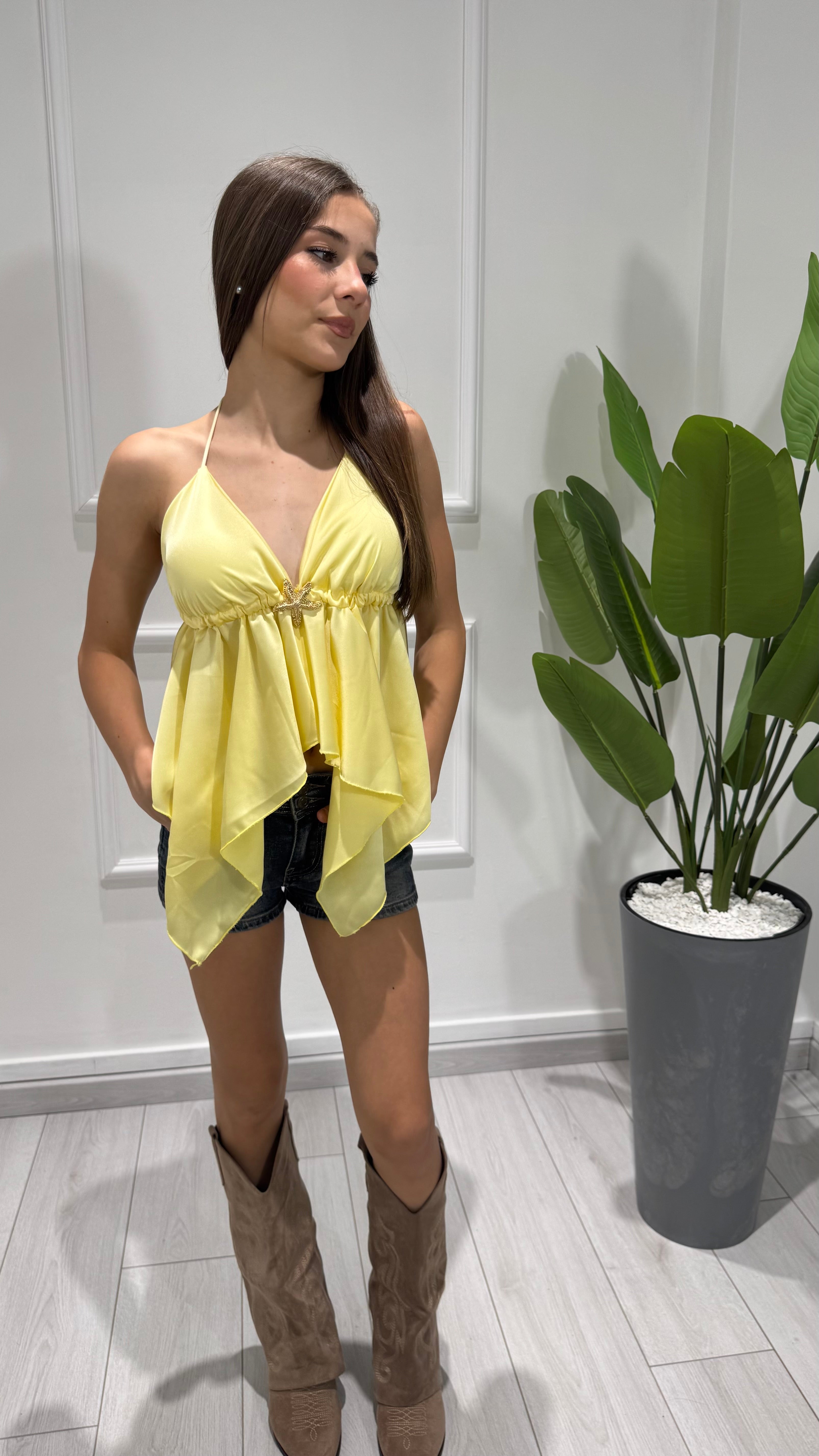 00233 top