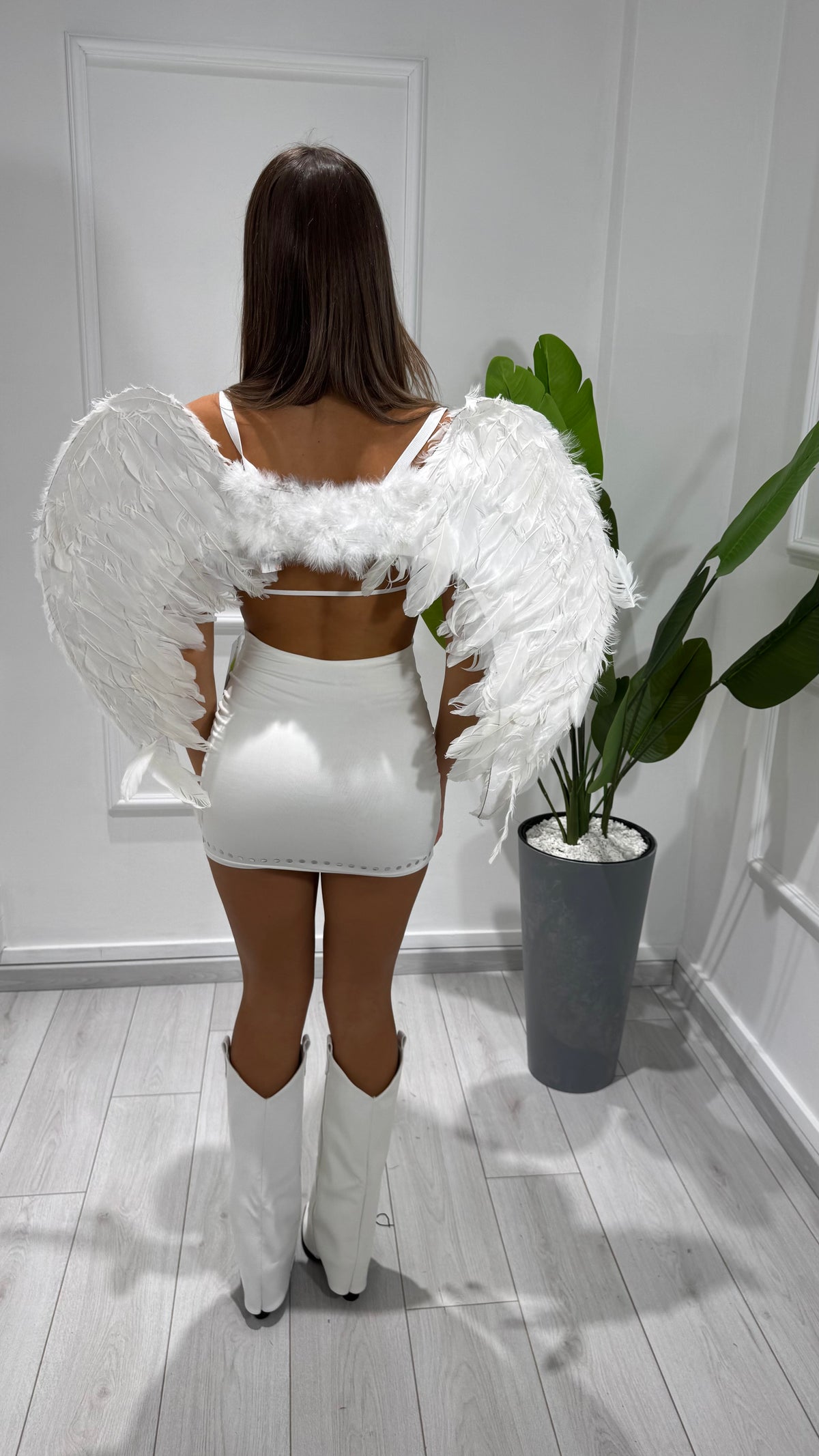 00420 Ali