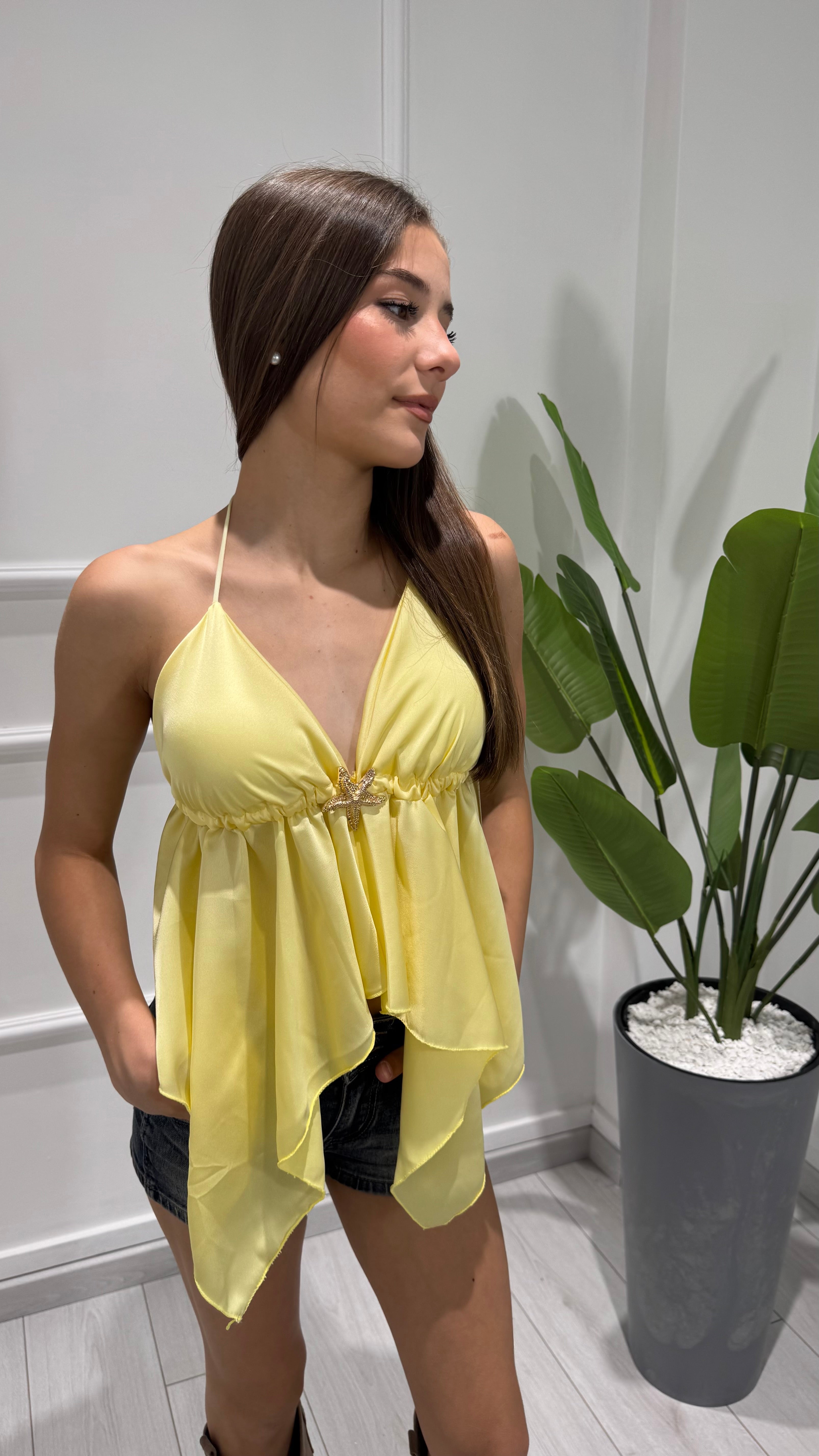 00233 top