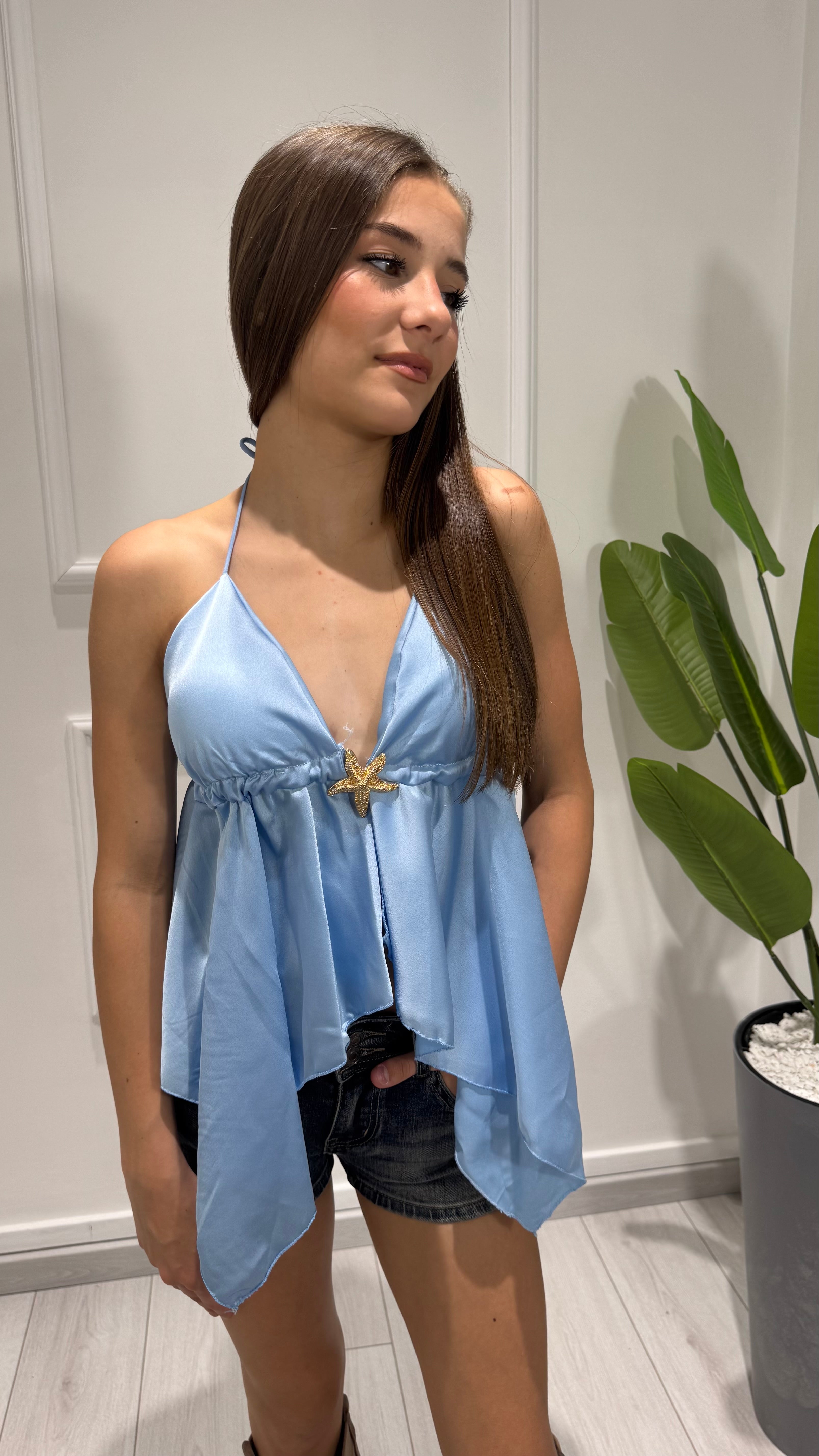 00233 top
