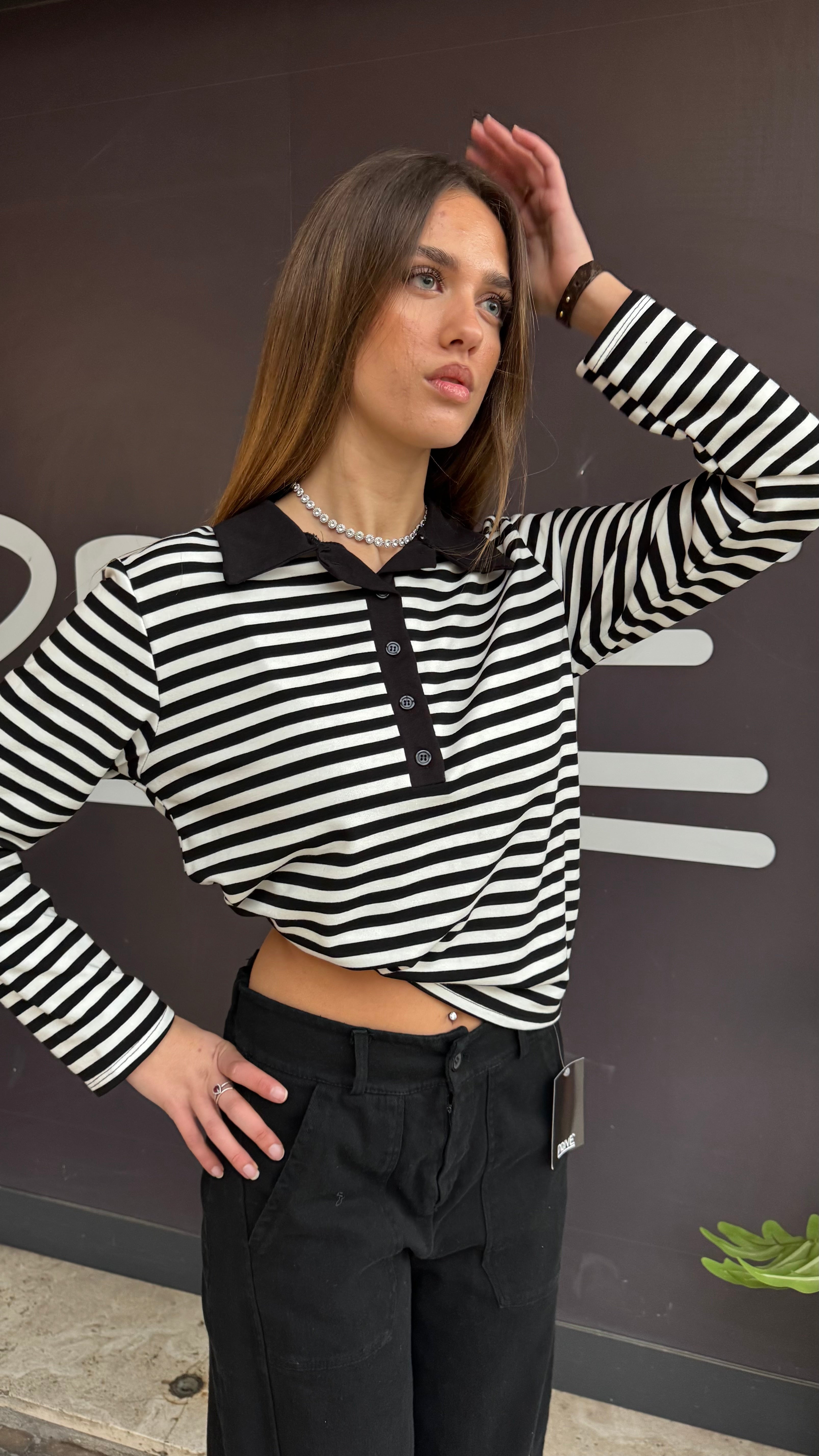 00553 polo