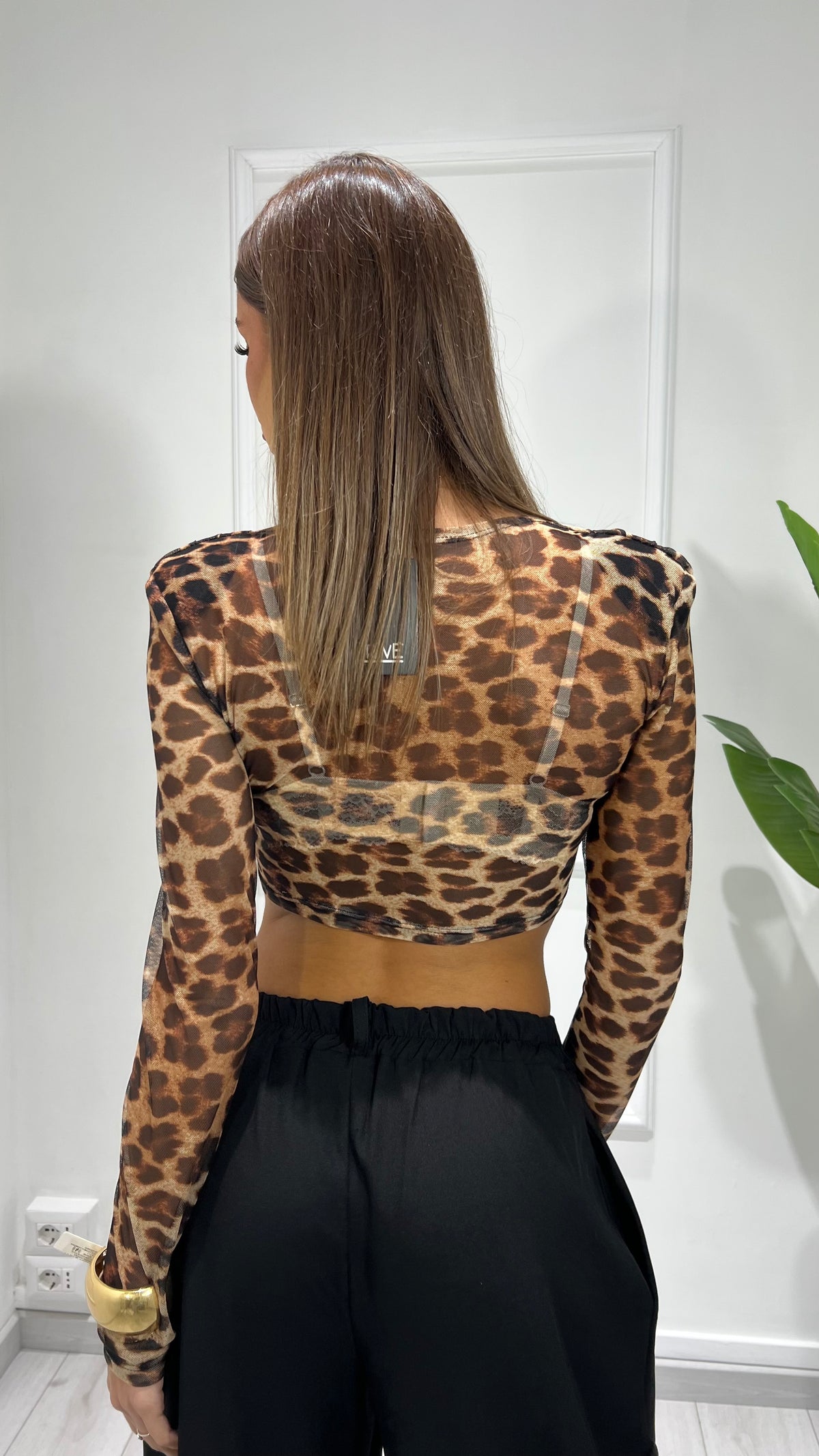 00352 top